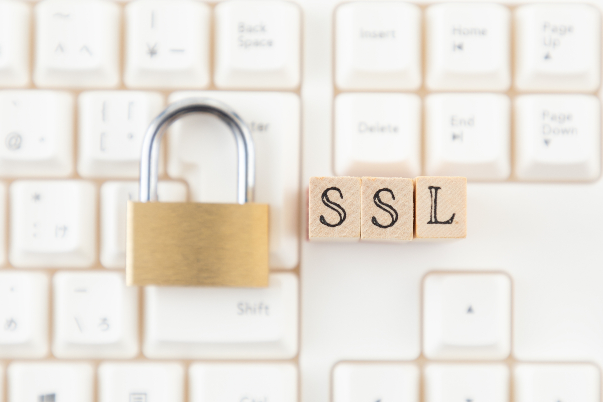 really simple sslの設定方法は数がいくらでもできるサーバーを選ぶ